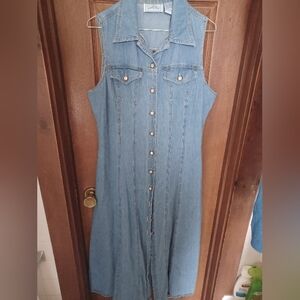 Gorgeous Denim Button-Up Dress